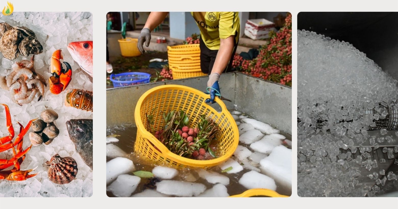 Giao Nước Đá Sạch Cho Quán Nhậu - Chất lượng