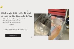 Read more about the article Cách nhận biết nước đá sạch và nước đá bẩn bằng mắt thường
