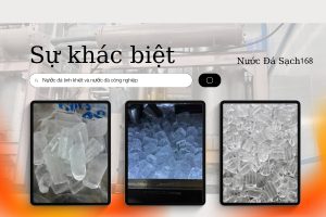 Read more about the article Sự khác biệt giữa nước đá công nghiệp và nước đá tinh khiết