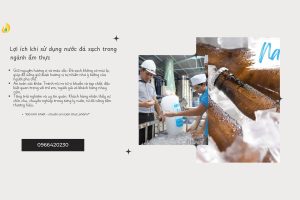 Read more about the article Lợi ích của việc sử dụng nước đá sạch trong ngành ẩm thực