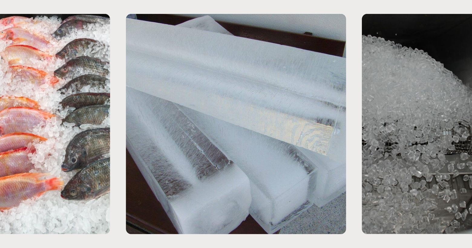 Tác dụng nước đá trong việc bảo quản thực phẩm