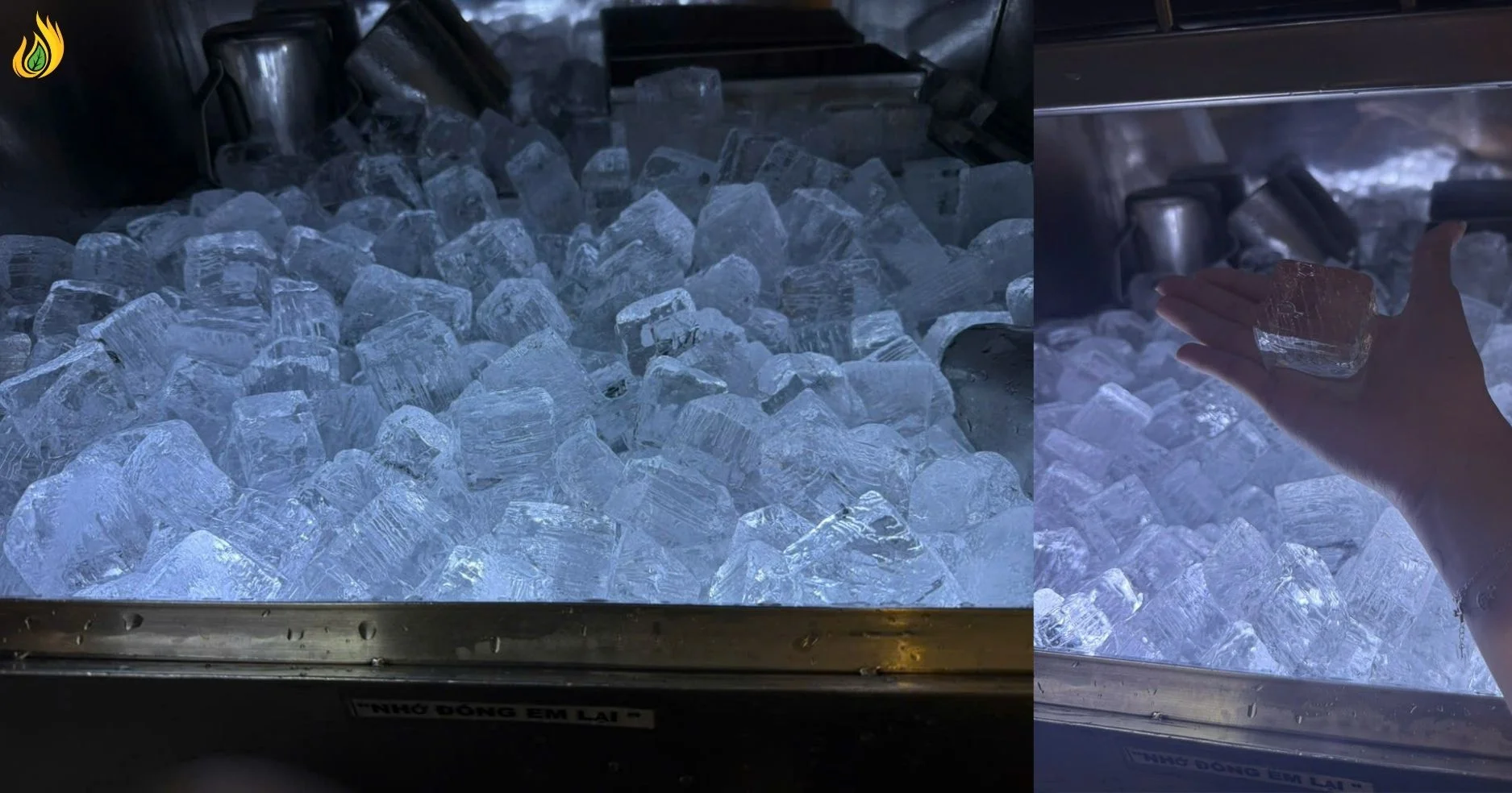 nha may san xuat nuoc da 168 lYHMjvkI