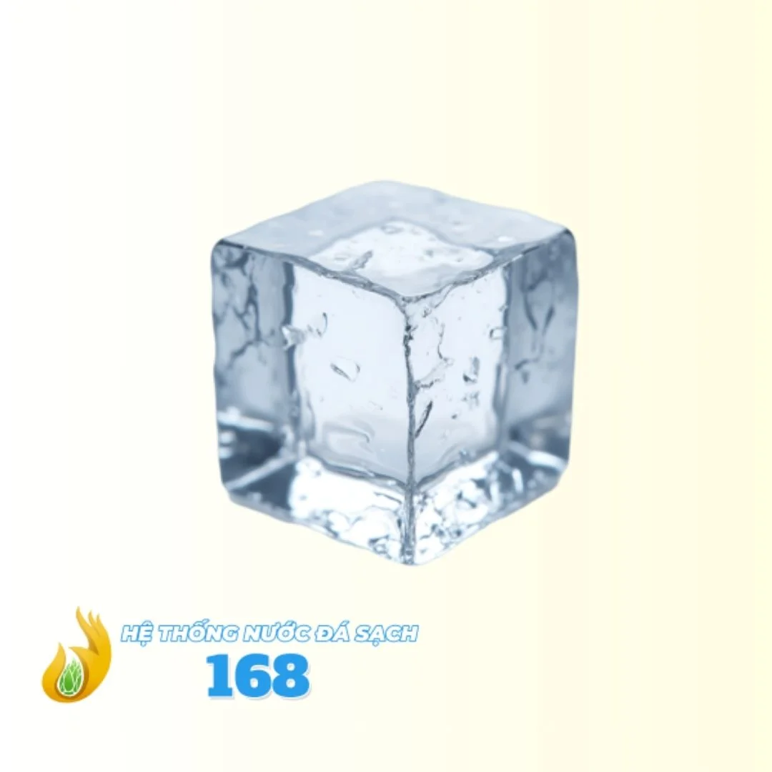 nha may san xuat nuoc da 168 mCV6tByh