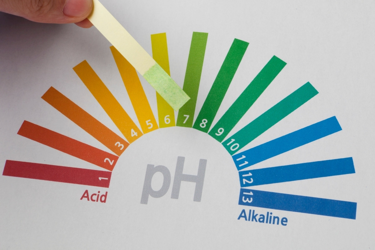 Độ pH ảnh hưởng trực tiếp đến chất lượng nước đá như thế nào