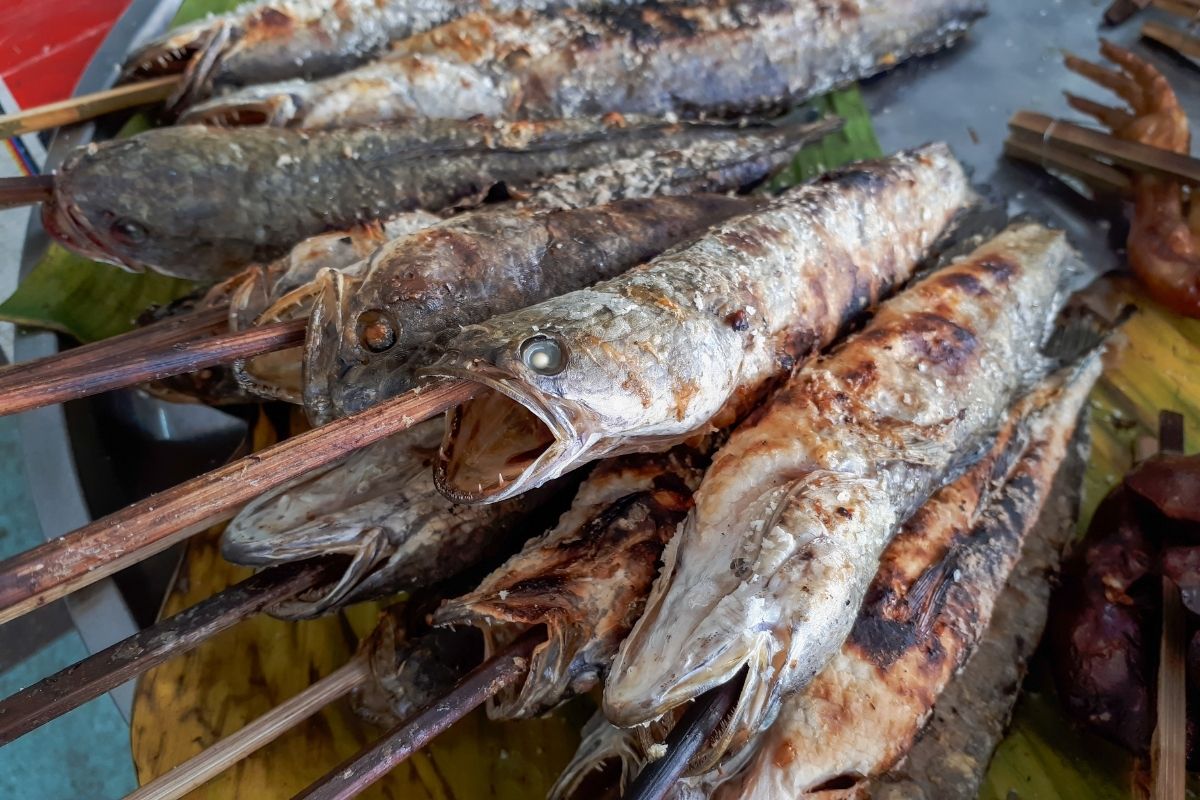 Hải Sản Miền Tây Linh Hồn Ẩm Thực Sông Nước