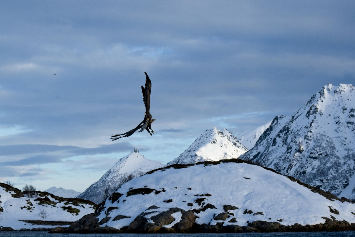 Hệ Quả Khi Ice Caps Tan Chảy
