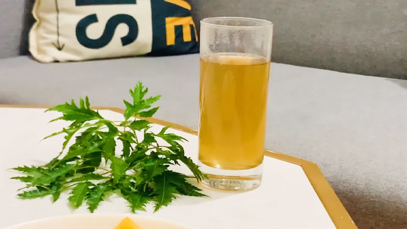 Lá Đinh Lăng Là Gì?