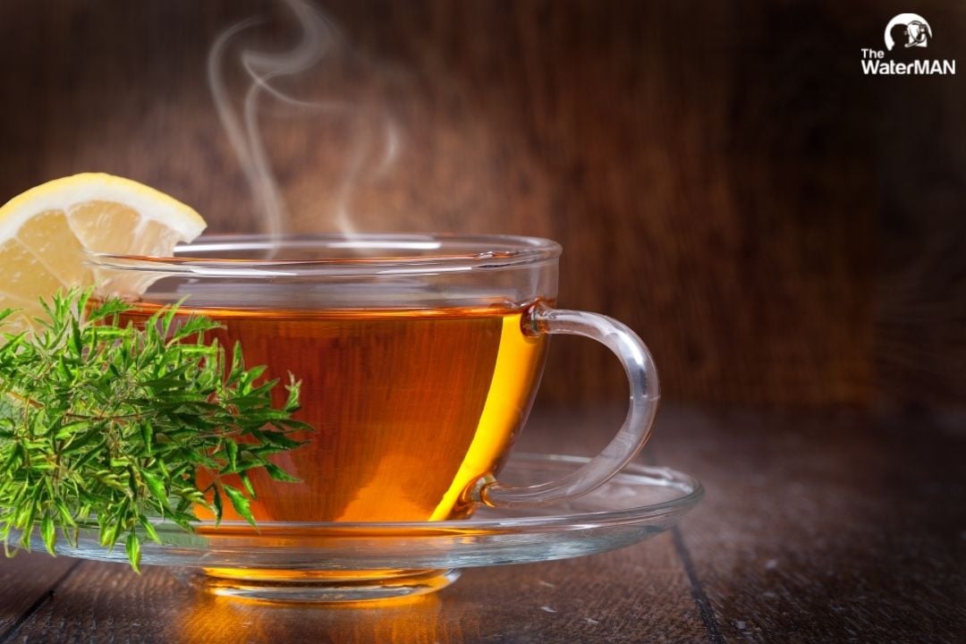 Lợi Ích Khi Uống Nước Lá Đinh Lăng