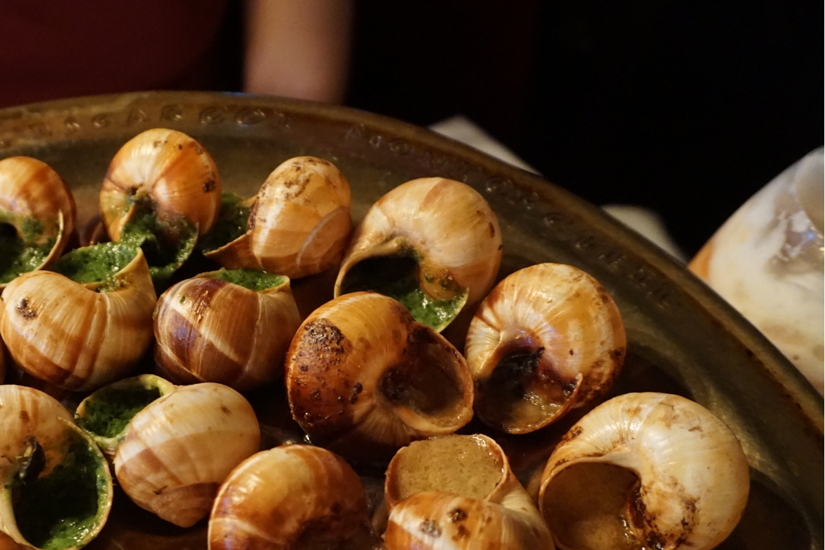 Những Lưu Ý Khi Thử Escargot