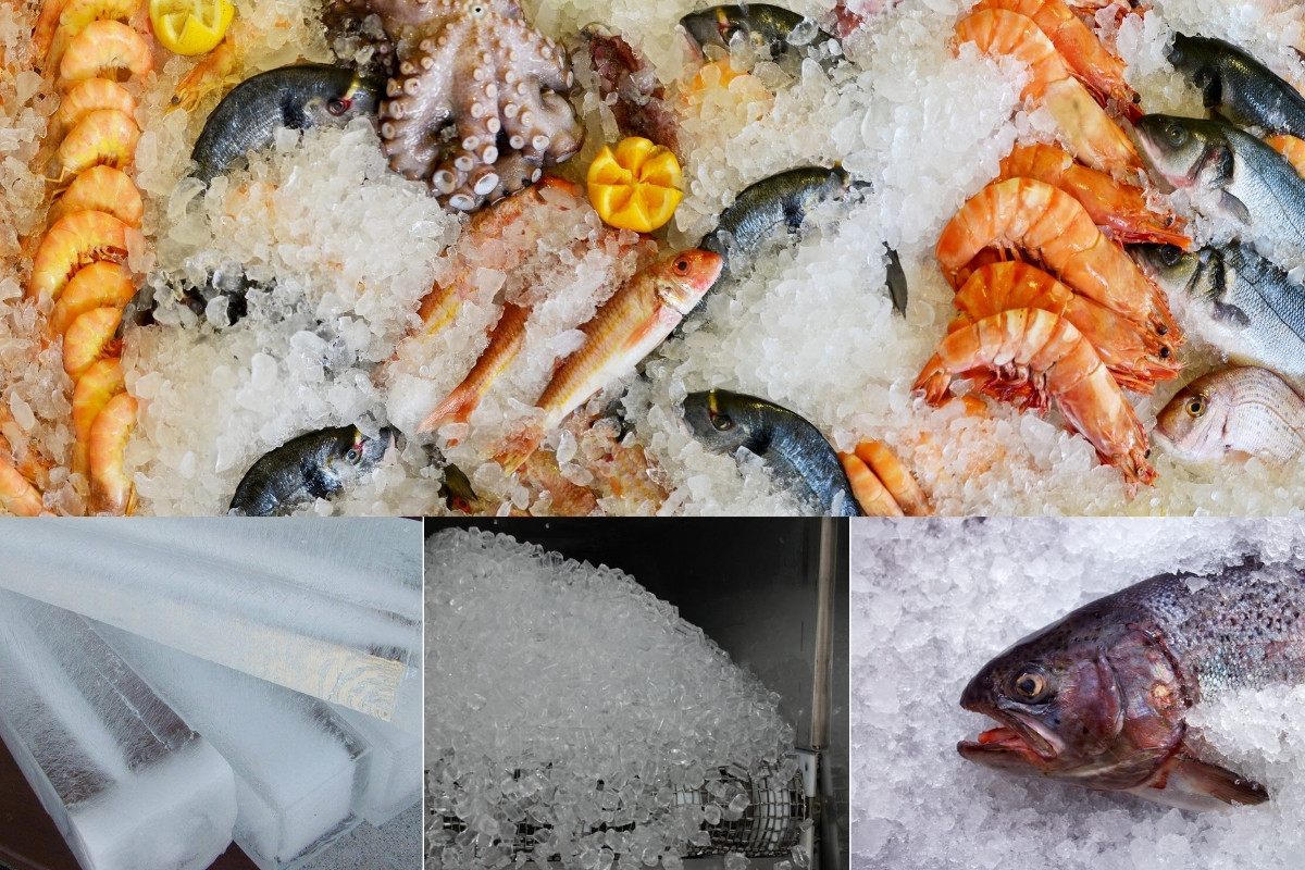 Nước đá dùng cho thực phẩm tươi sống cần đạt tiêu chuẩn an toàn