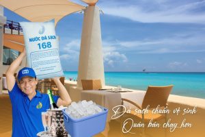 Read more about the article Nước Đá Sạch Tại Xã Châu Pha Giao Nhanh Đúng Giờ Đạt Chuẩn Vận Chuyển | Nước Đá Sạch 168