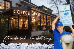 Read more about the article Nước Đá Viên 34 Và 47: Lựa Chọn Nào Phù Hợp Cho Quán Cà Phê?