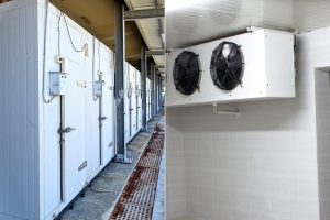 Read more about the article Quy trình bảo quản nước đá trong kho lạnh không bị dính cục hiệu quả