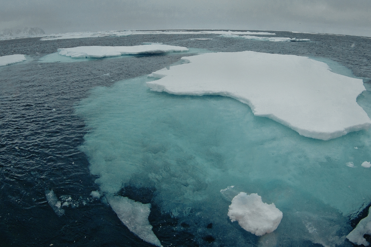 Tảng Băng Là Gì
