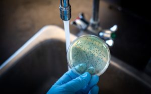 Read more about the article Tiêu chuẩn vi sinh vật trong nước đá: Những chỉ số quan trọng cần biết