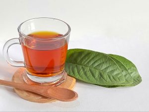 Read more about the article Uống Nước Lá Ổi Có Tác Dụng Gì? 7 Lợi Ích Tốt Cho Sức Khỏe