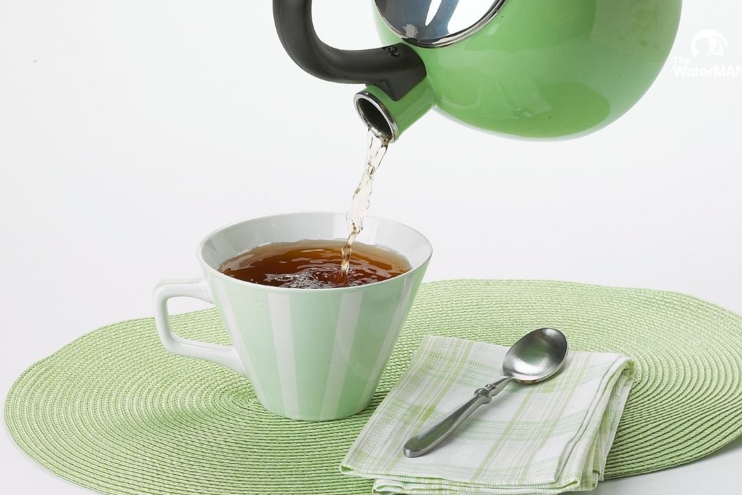 Read more about the article Uống Nước Lá Ổi Có Tác Dụng Gì? 8 Lợi Ích Tốt Cho Sức Khỏe