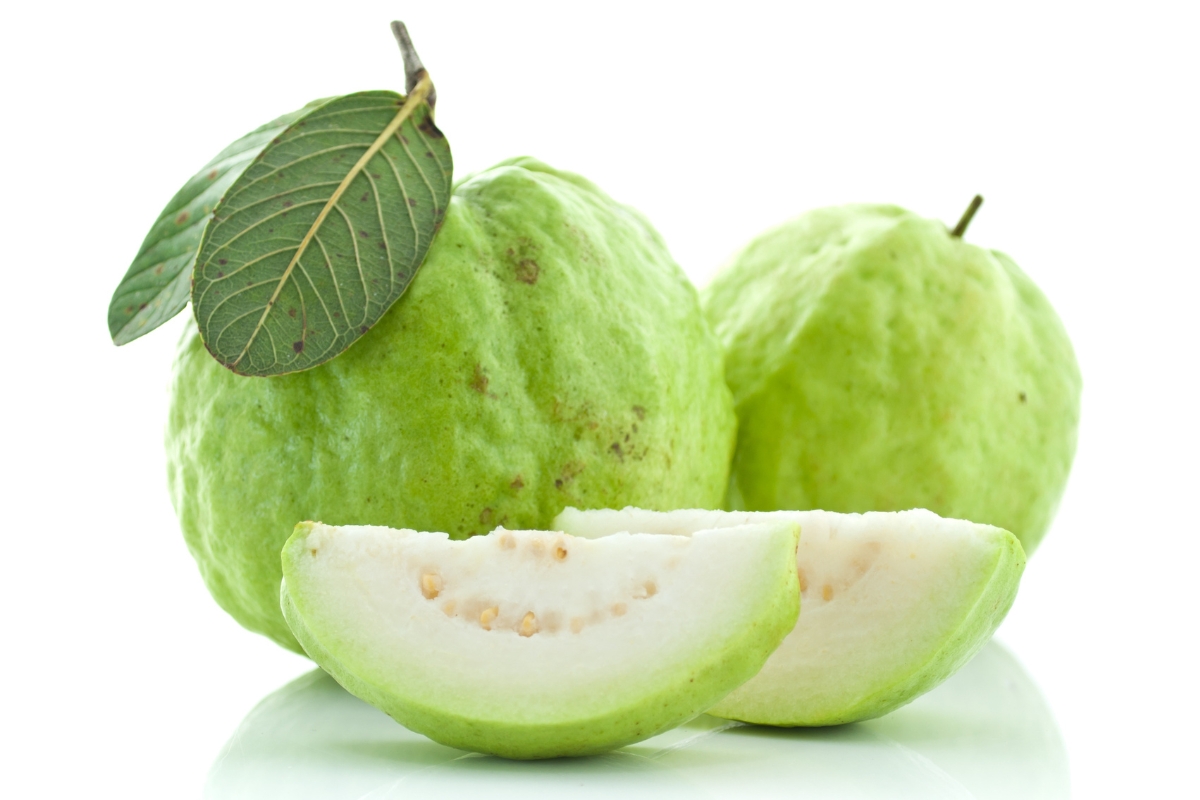 Uống Nước Lá Ổi Có Tác Dụng Gì?