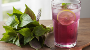 Read more about the article Uống Nước Tía Tô Có Tác Dụng Gì? 10 Lợi Ích Tốt Cho Sức Khỏe Bạn Nên Biết