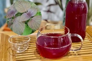 Read more about the article Uống Nước Tía Tô Có Tác Dụng Gì? Lợi Ích Và Cách Uống Đúng