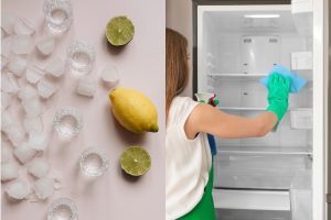 Read more about the article Cách khử mùi hôi của tủ lạnh bằng nước đá và chanh hiệu quả