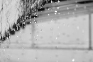 Read more about the article Đá làm từ nước mưa có dùng được không? Chuyên gia giải đáp chi tiết