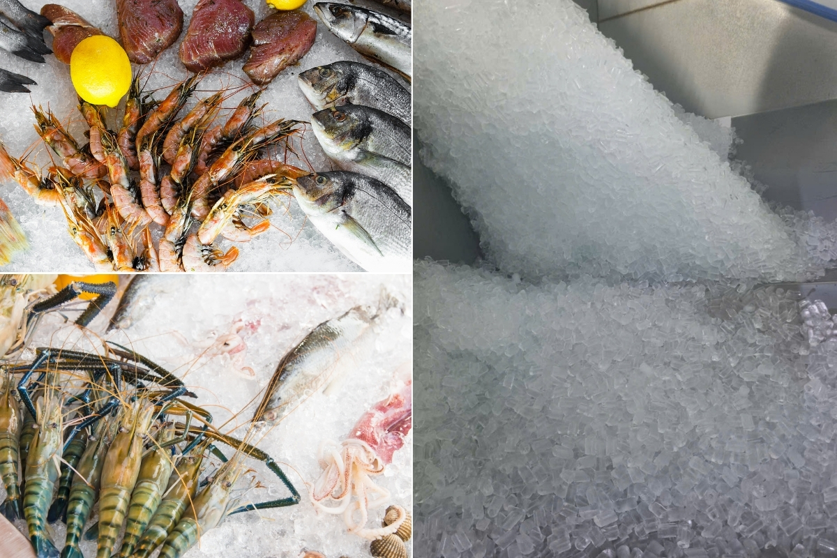 Đá viên là gì Công dụng trong bảo quản thủy hải sản