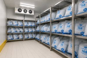 Read more about the article Nước đá có hạn sử dụng không? Sự thật về thời gian bảo quản trong kho lạnh