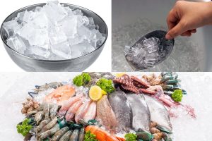 Read more about the article So sánh đá vảy và đá viên trong bảo quản thủy hải sản chi tiết