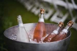 Read more about the article Tại sao không nên cho nước đá vào rượu vang cao cấp? Hướng dẫn thưởng thức đúng cách