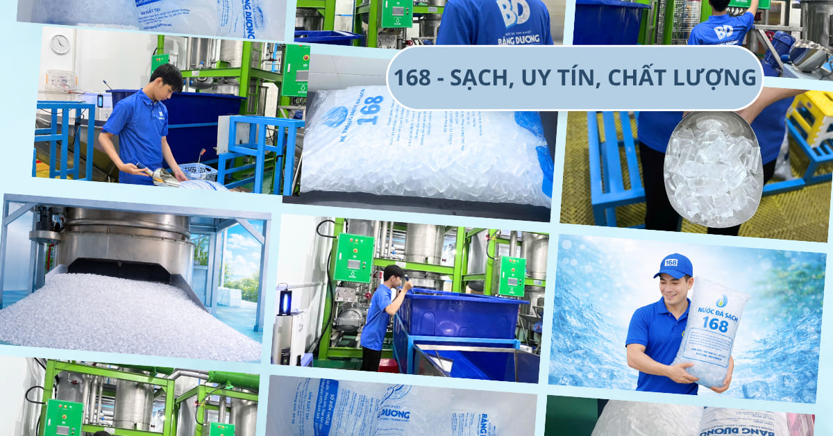 Nhà máy Nước Đá Sạch 168